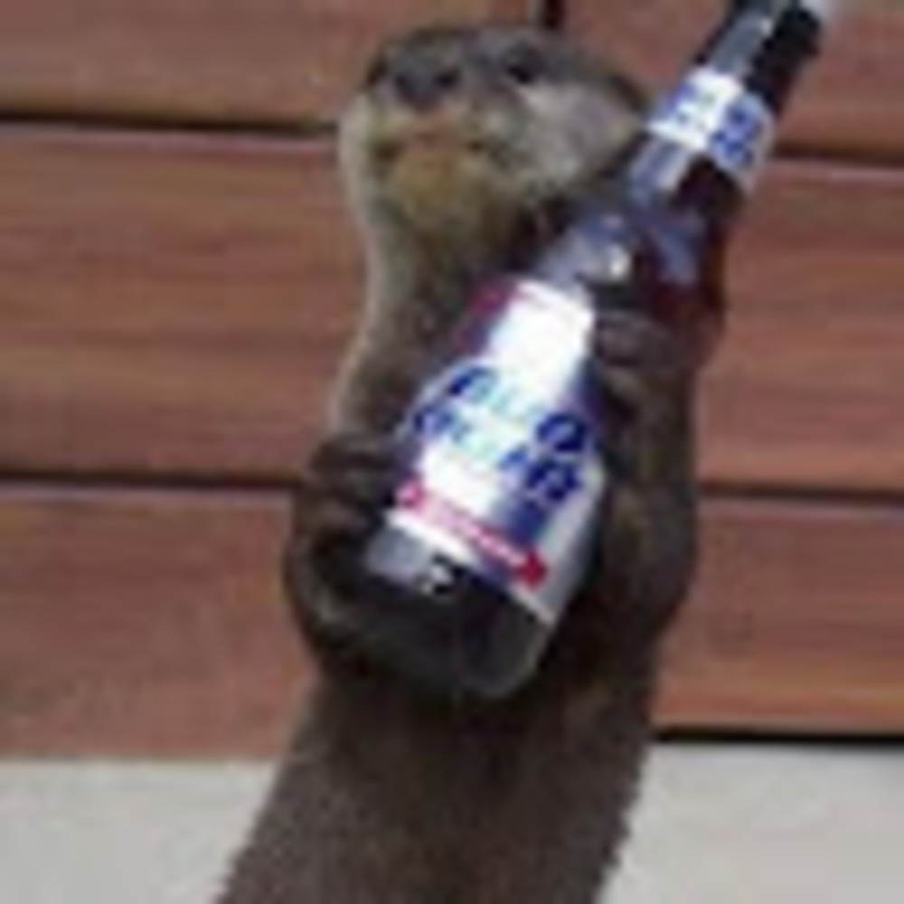 Meet your Posher, Otta b.